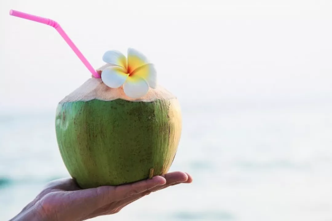 Manfaat air kelapa campur madu
